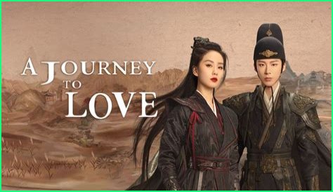 A Journey Of Love, Support, And Creative Endeavors